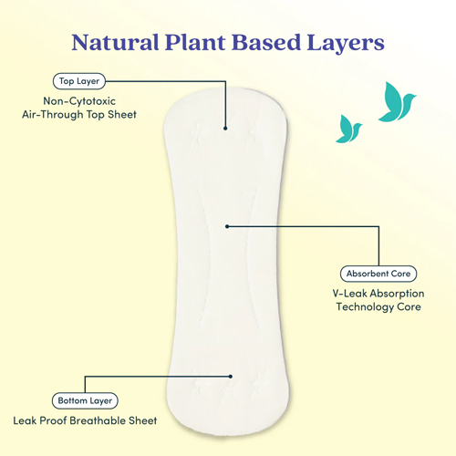 Bliss Long Panty Liners (20 Liners) for Non-Period Days