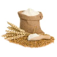 Wheat Flour Atta (Godhumai Maavu) 