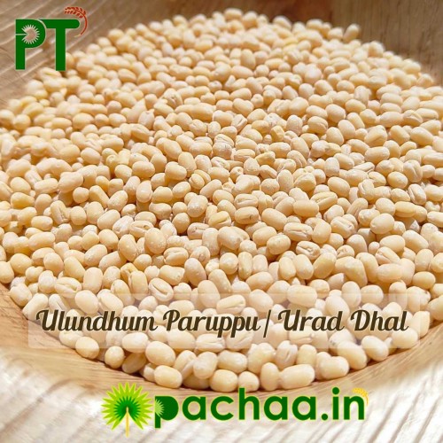 Organic Urad Dal Whole Peeled (உளுந்து பருப்பு)