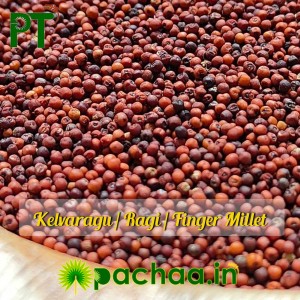Finger Millet |Kelvargu | Mandua | Ragulu |Koovarugu |Ragi (ராகி) Finger Millet |Kelvargu | Mandua | Ragulu |Koovarugu |Ragi (ராகி)