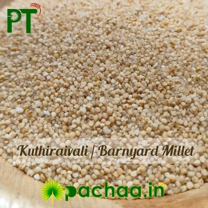 Barnyard Millet Rice | Kuthiraivali Arisi (குதிரைவாலி)
