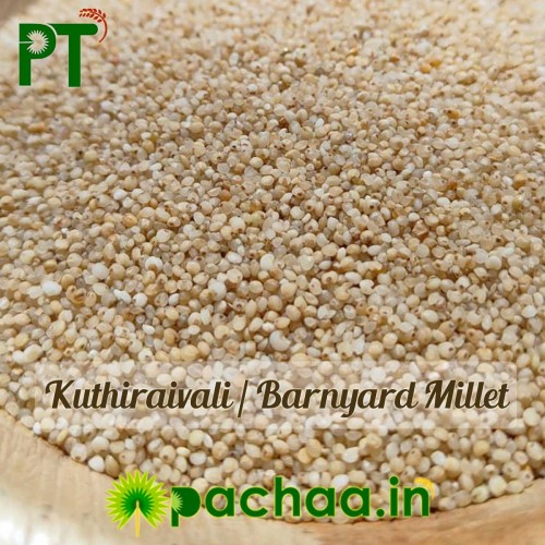 Barnyard Millet Rice | Kuthiraivali Arisi (குதிரைவாலி) Barnyard Millet Rice | Kuthiraivali Arisi (குதிரைவாலி)