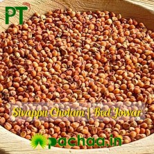 Sivappu Red Cholam Red Sorghum Jowar Jonna Jola Cholum (சிவப்பு சோளம்)
