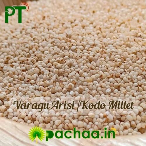 Kodo Millet Rice Varagu (வரகு) Kodo Millet Rice Varagu (வரகு)
