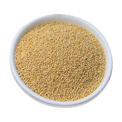 Foxtail Millet Rice Thinai (தினை)