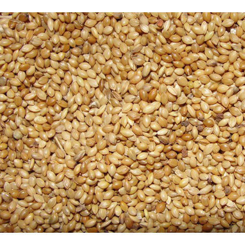 Kuruvi Thinai 1Kg - Bird Feed