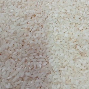 Organic Seeraga Samba Rice raw