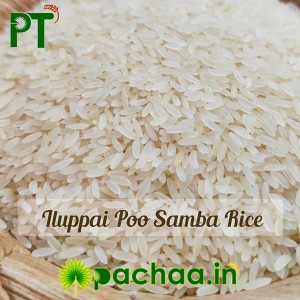 Illuppai Poo Samba Rice Raw (இலுப்பைப்பூ சம்பா அரிசி) Illuppai Poo Samba Rice Raw (இலுப்பைப்பூ சம்பா அரிசி)