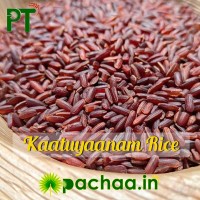Kaatuyaanam Rice 