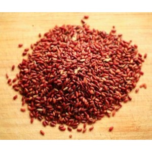 Kalanamak Red Rice (காலா நமக் அரிசி)