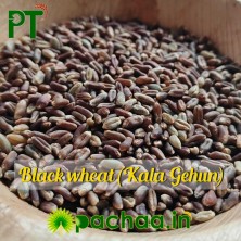 Premium Black Wheat (Kala Gehun)  (கறுப்பு கோதுமை) – High-Fiber Healthy Atta | Chennai | India