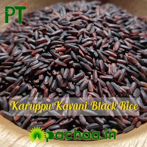 Black Rice DARK (Kavuni Arisi)