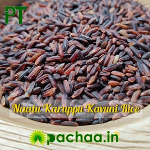 Black Rice (Kavuni Arisi)