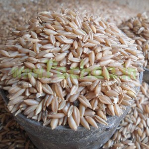 Bamboo Rice Moongil Arisi (மூங்கில் அரிசி) 500g