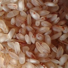 Thoothukudi Samba Sivappu Red RAW Pongal Rice 1Kg 