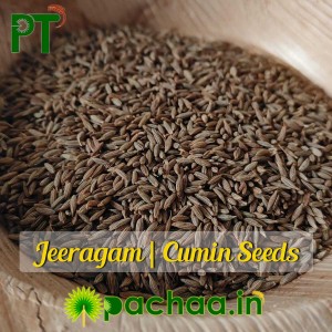 Organic Cumin Seeds Jeeragam (சீரகம்) 