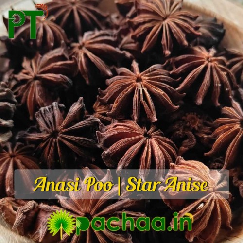 Star Anise Anashuppu Ananas Flower Star Anise Anashuppu Ananas Flower